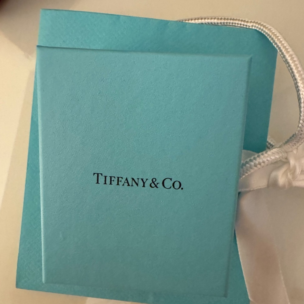 Tiffany & Co. Blue Gift Box and bag